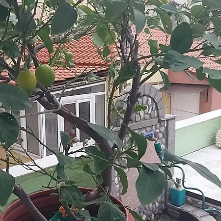 Mama's House Апартаменты *