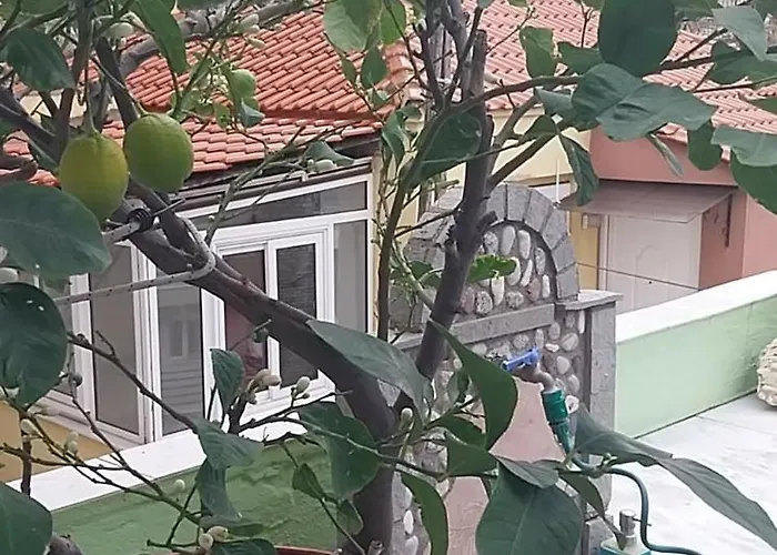 Mama's House Appartement *